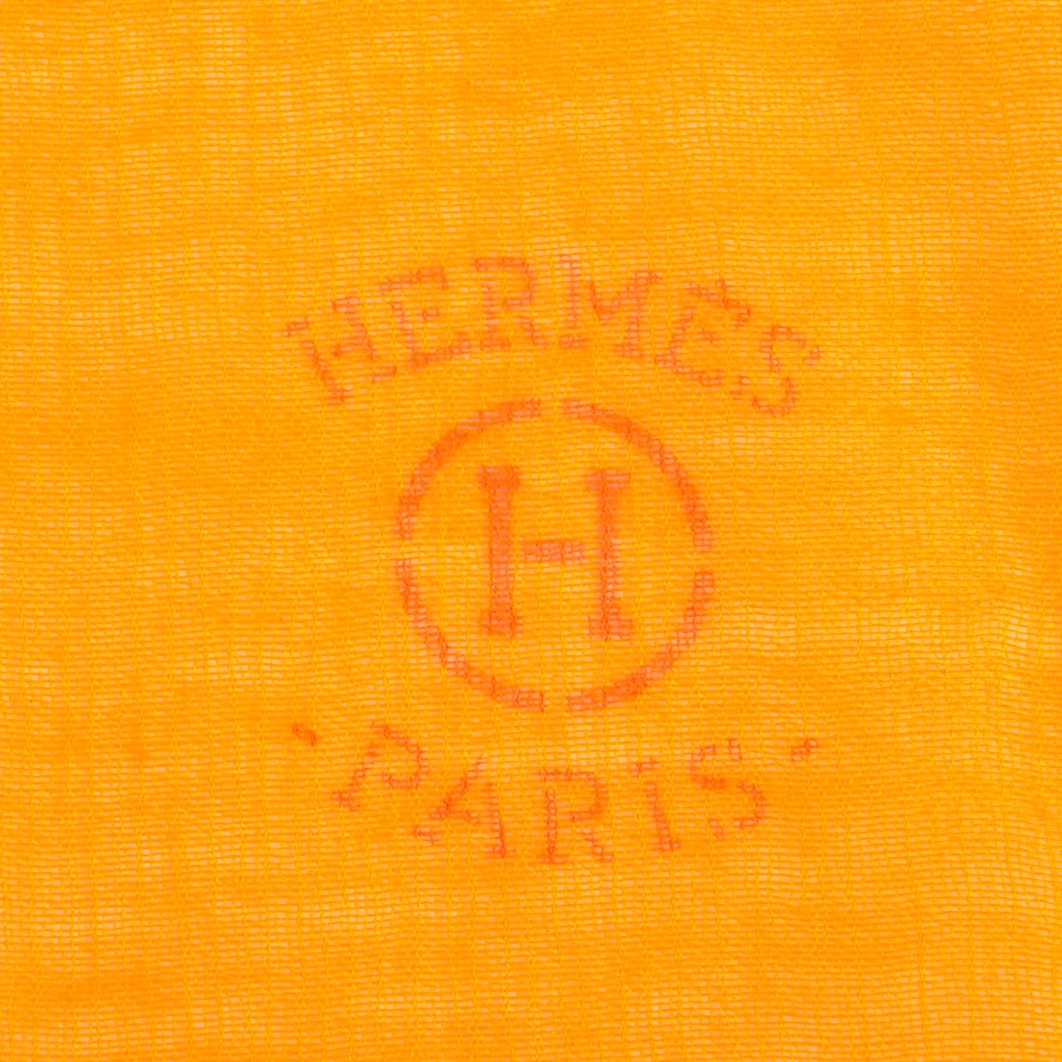Hermes Cashmere Silk Plume Unie Stole Soucis 5 of 5