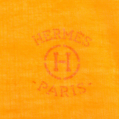 Hermes Cashmere Silk Plume Unie Stole Soucis 5 of 5