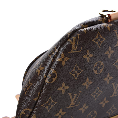 Louis Vuitton Monogram Bumbag 7 of 10