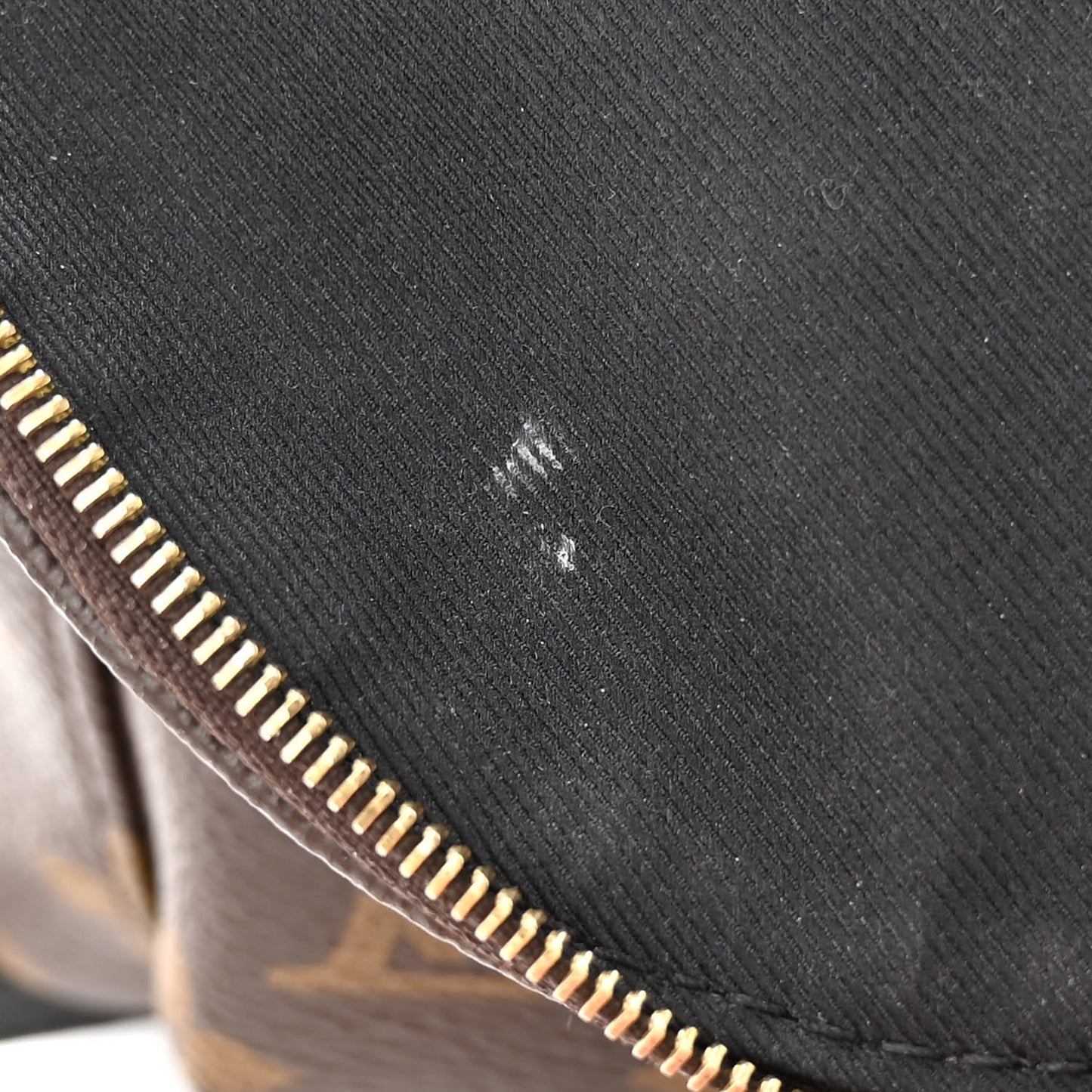 Monogram Palm Springs Backpack Mini