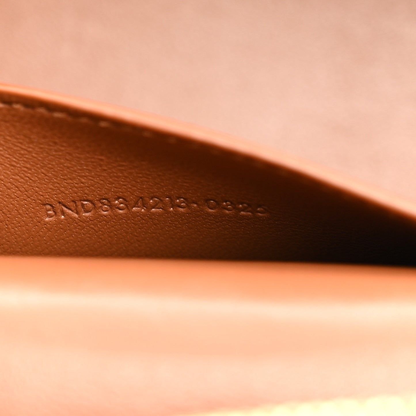 Canvas Calfskin Mini Gaby Vanity Case  Desert Dust Brick