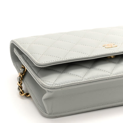 Chanel Lambskin Quilted Wallet On Chain WOC Grey 5 of 12