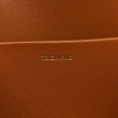 Celine Natural Calfskin Medium Triomphe Tan 7 of 11