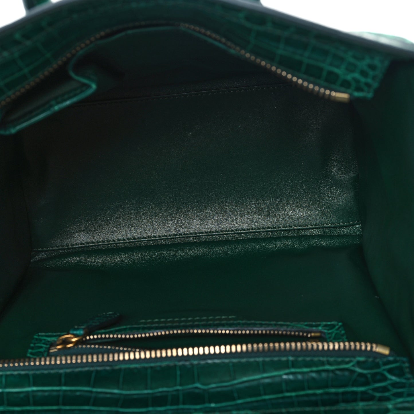 Crocodile Micro Luggage Green