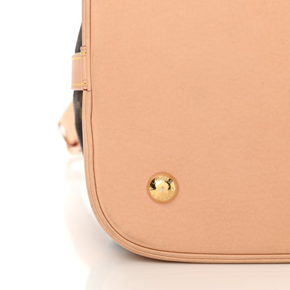 Louis Vuitton Monogram Petit Noe NM 15 of 19