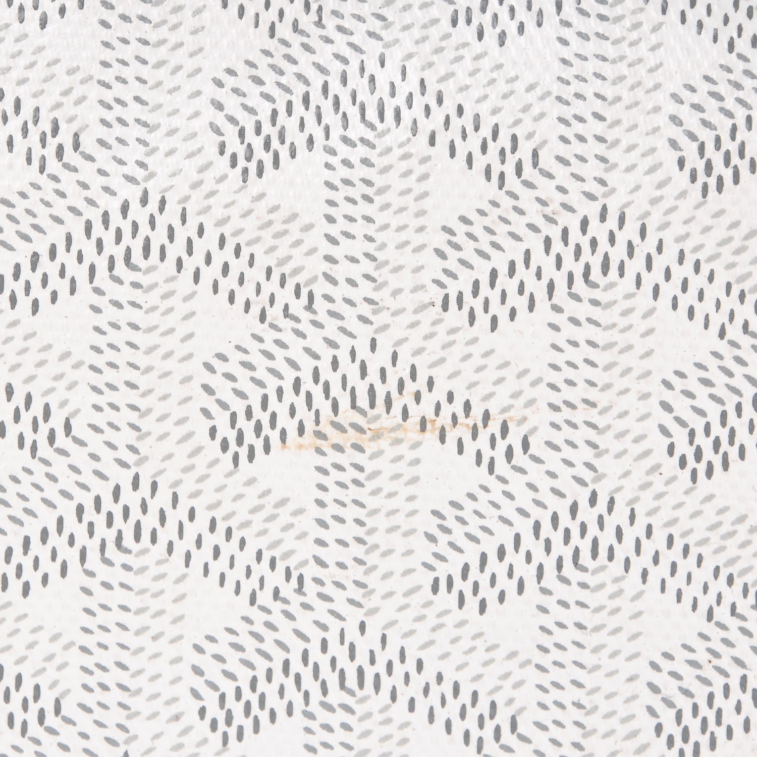 Goyard Goyardine Saint Louis PM White 11 of 14
