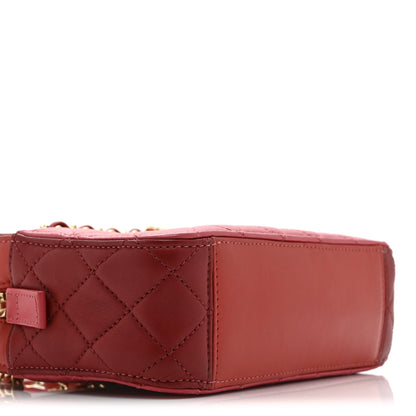 Chanel Goatskin Quilted Small In & Out Camera Case Pink Red 9 of 10