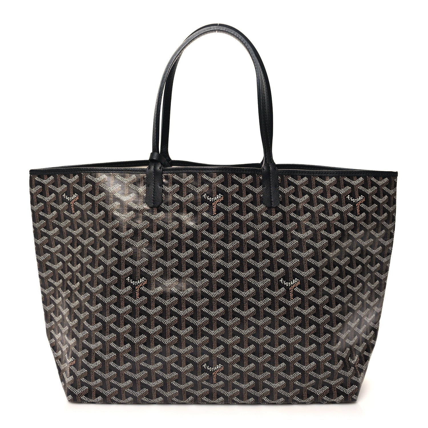 Goyard Goyardine Saint Louis PM Black 1 of 10