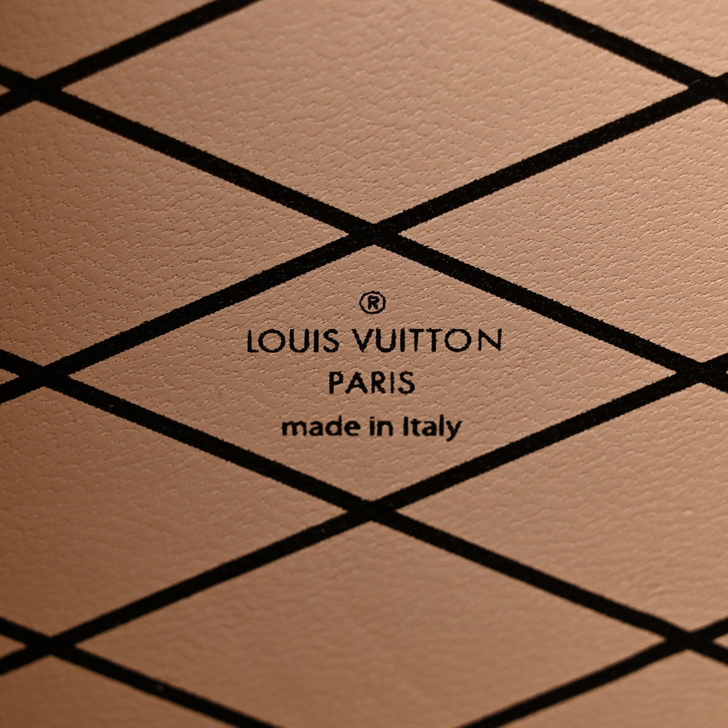 Louis Vuitton Leopard Petite Malle Black Gris 6 of 9