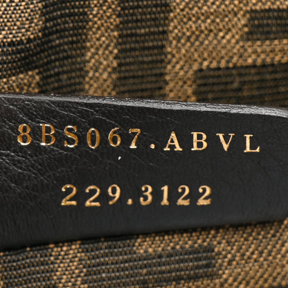 Fendi Vitello King Plexiglass Logo Embossed Mini By The Way Top Handle Boston Bag Tortora 7 of 10
