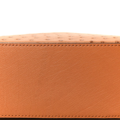 Louis Vuitton Ostrich Capucines BB Cognac 13 of 15