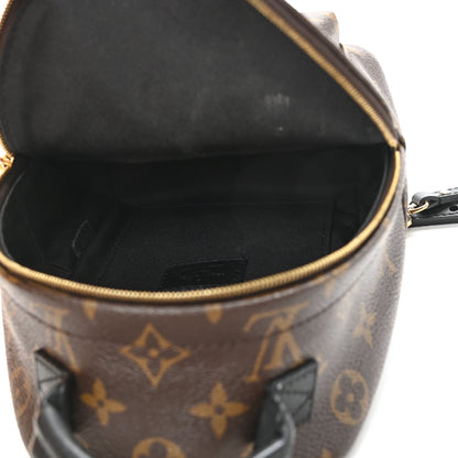 Louis Vuitton Monogram Palm Springs Backpack Mini 5 of 11