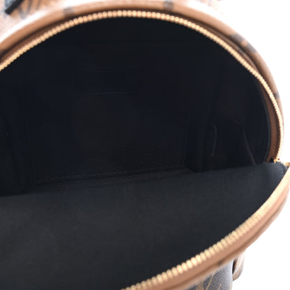 Louis Vuitton Reverse Monogram Palm Springs Backpack Mini 5 of 9