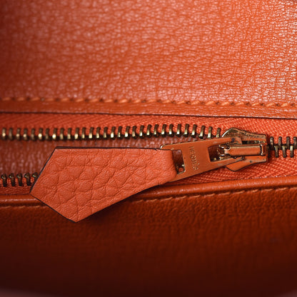 Hermes Togo Birkin 25 Feu 30 of 36