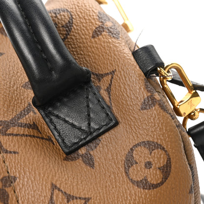 Louis Vuitton Reverse Monogram Palm Springs Backpack Mini 10 of 10