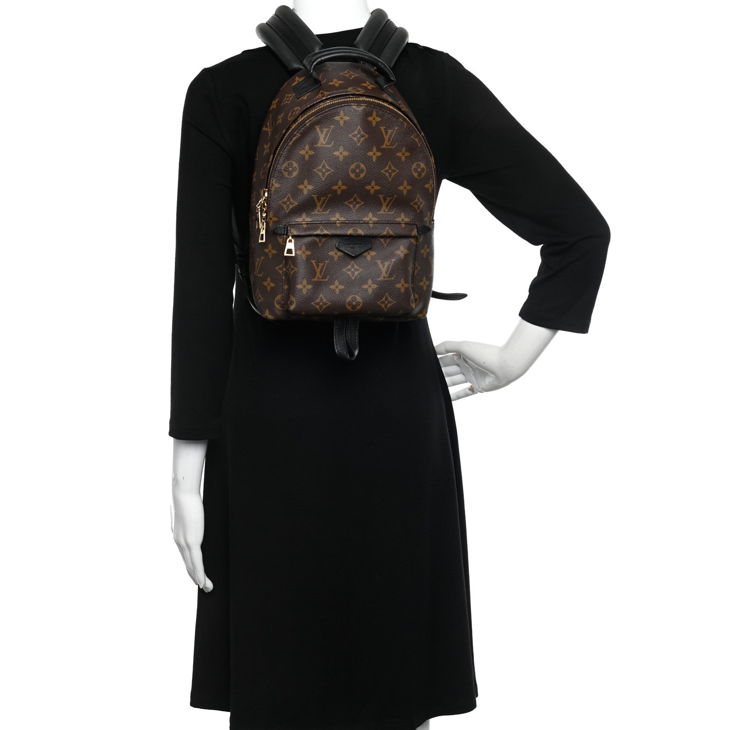 Louis Vuitton Monogram Palm Springs Backpack PM 2 of 9