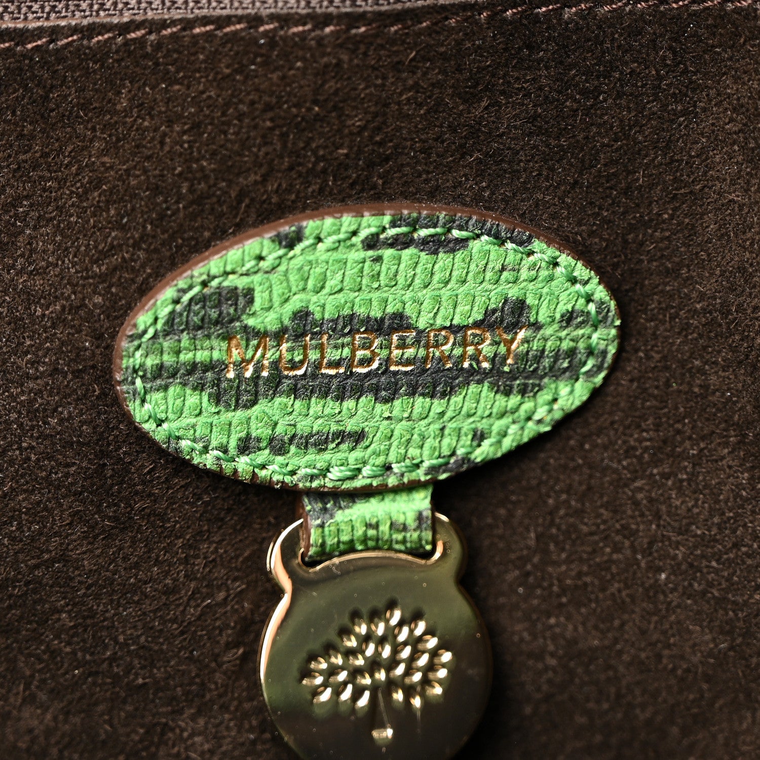 Mulberry Lizard Print Travel Day Grass Green 6 of 10