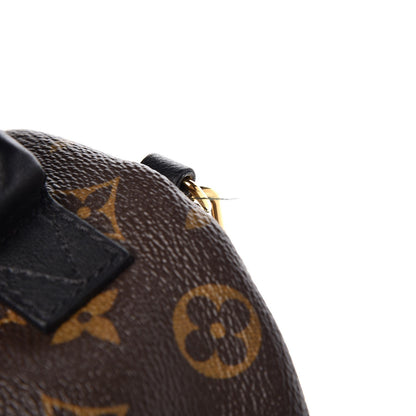 Louis Vuitton Monogram Palm Springs Backpack Mini 7 of 9