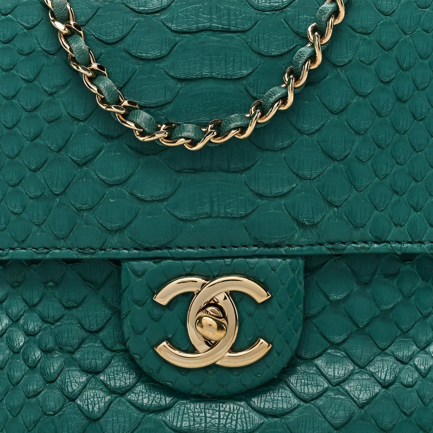 Snakeskin Chain Around Single Flap Turquoise