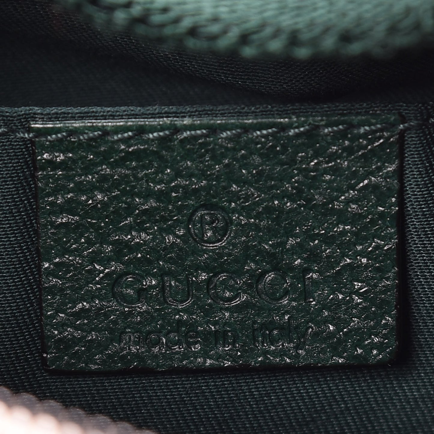 Monogram Web Mini Pop Hobo Green