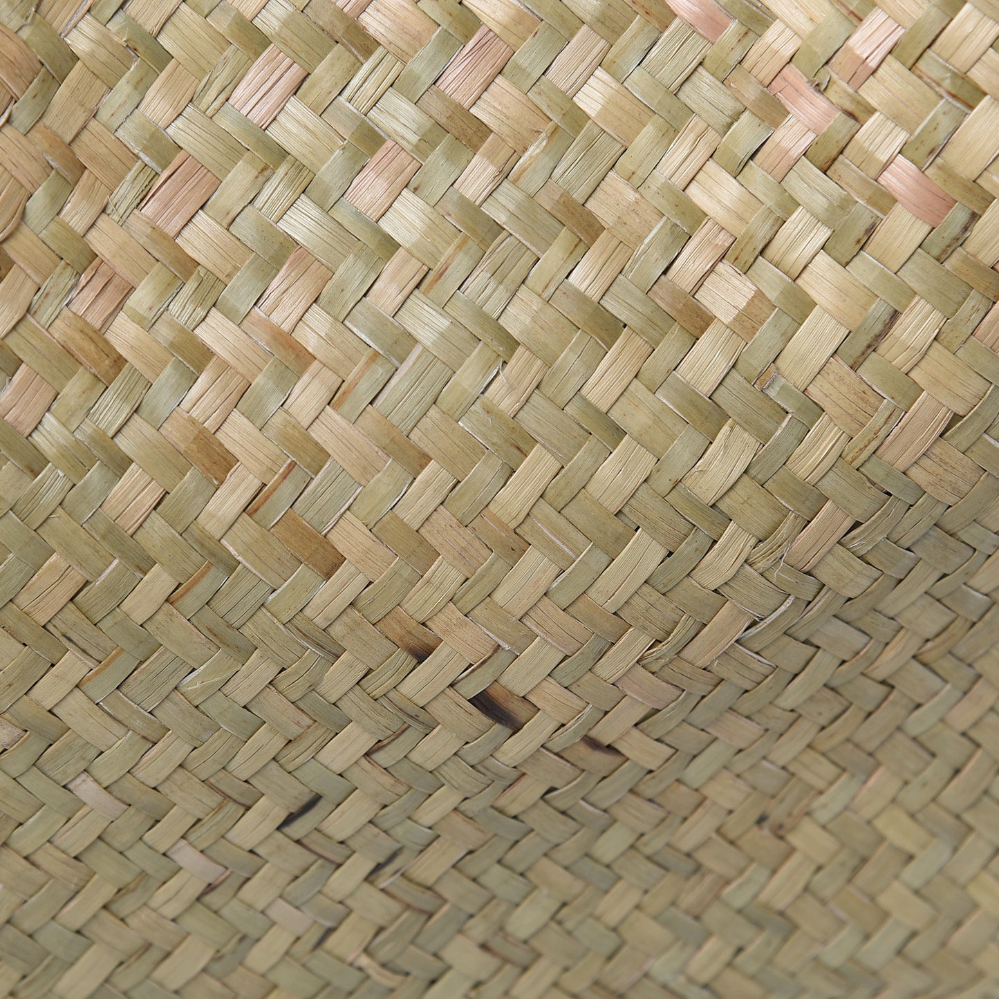 Raffia Medium Vlogo Escape Shopper Natural Black Rouge