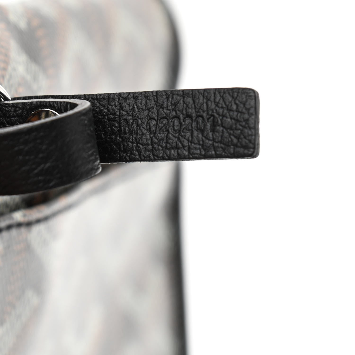 Goyard Goyardine Saint Louis PM Black 7 of 9