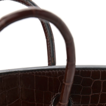 Hermes Shiny Niloticus Crocodile Birkin 25 Miel 40 of 41