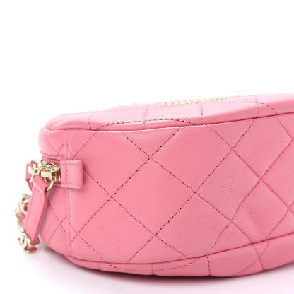 Chanel Lambskin Quilted Studded Camera Case Pink 8 of 9