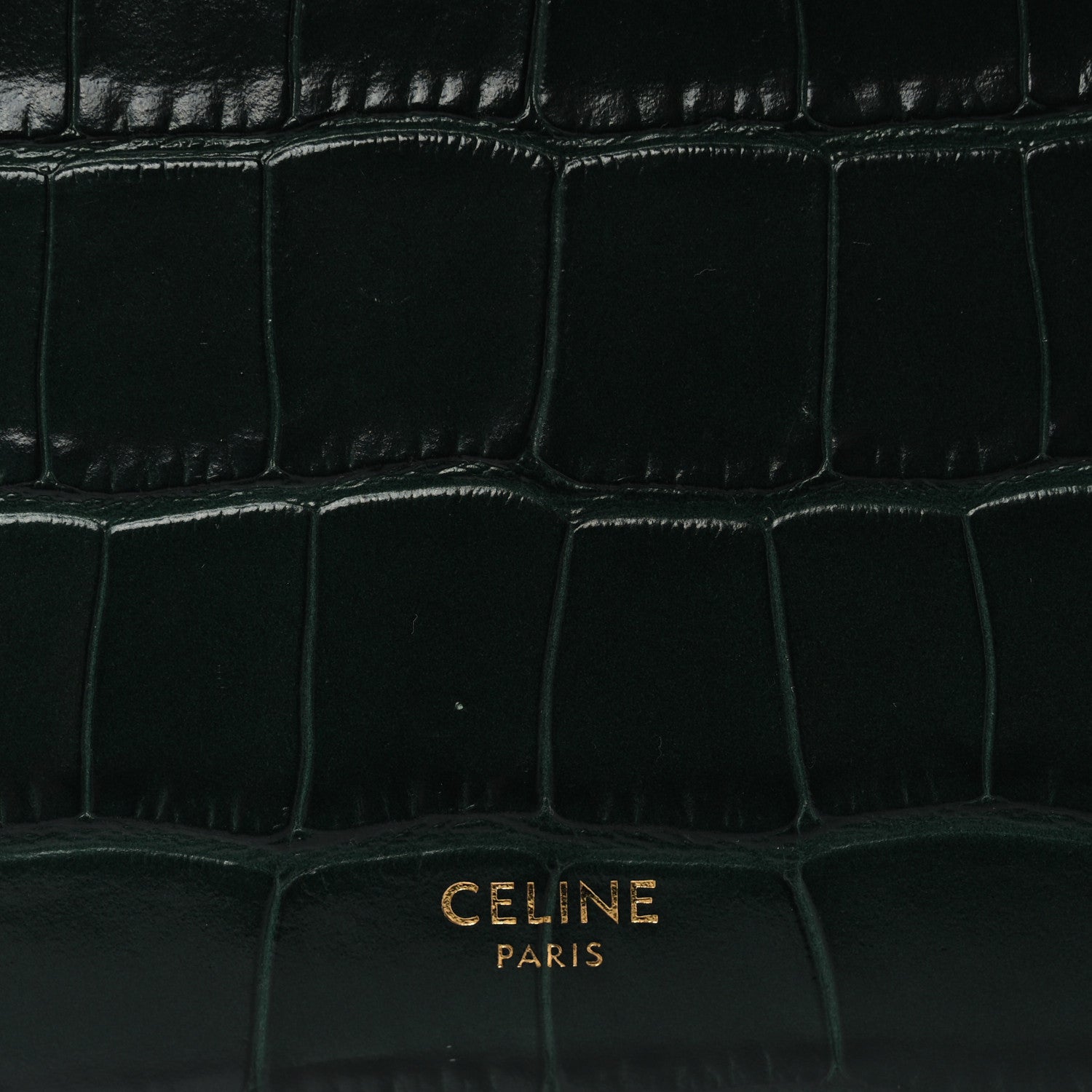 Celine Calfskin Crocodile Embossed Micro Belt Bag Amazone 6 of 9