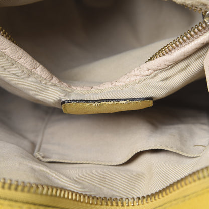 Chloe Calfskin Medium Paraty Citrus Grove 16 of 27