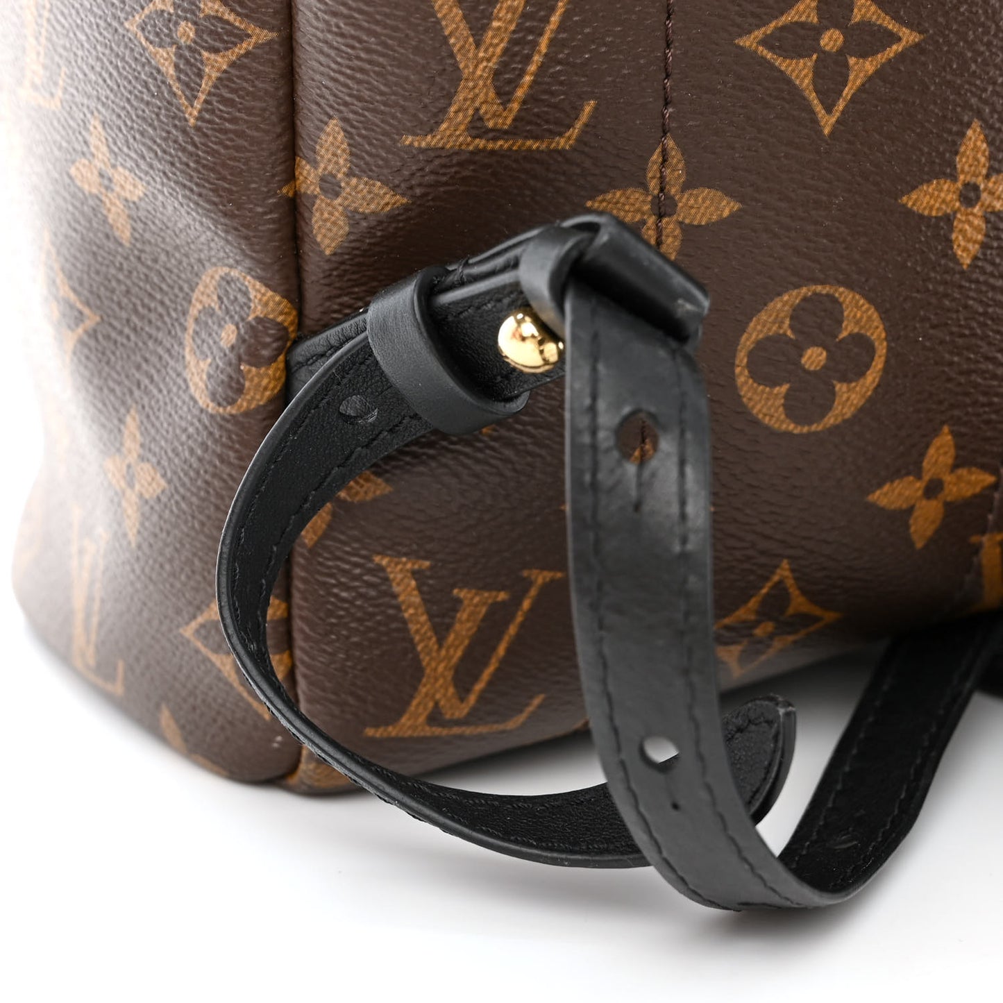 Monogram Palm Springs Backpack MM