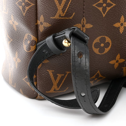 Louis Vuitton Monogram Palm Springs Backpack MM 13 of 14