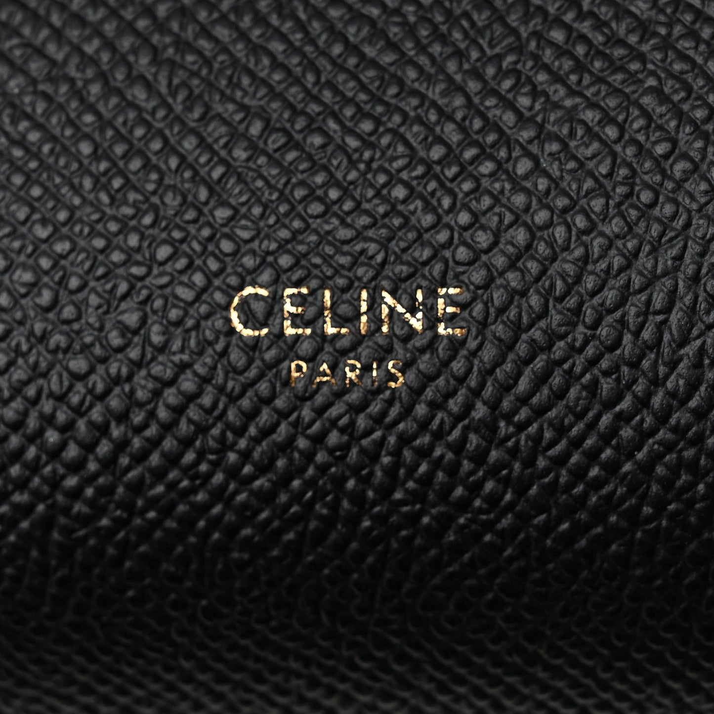 Grained Calfskin Nano Belt Bag Black