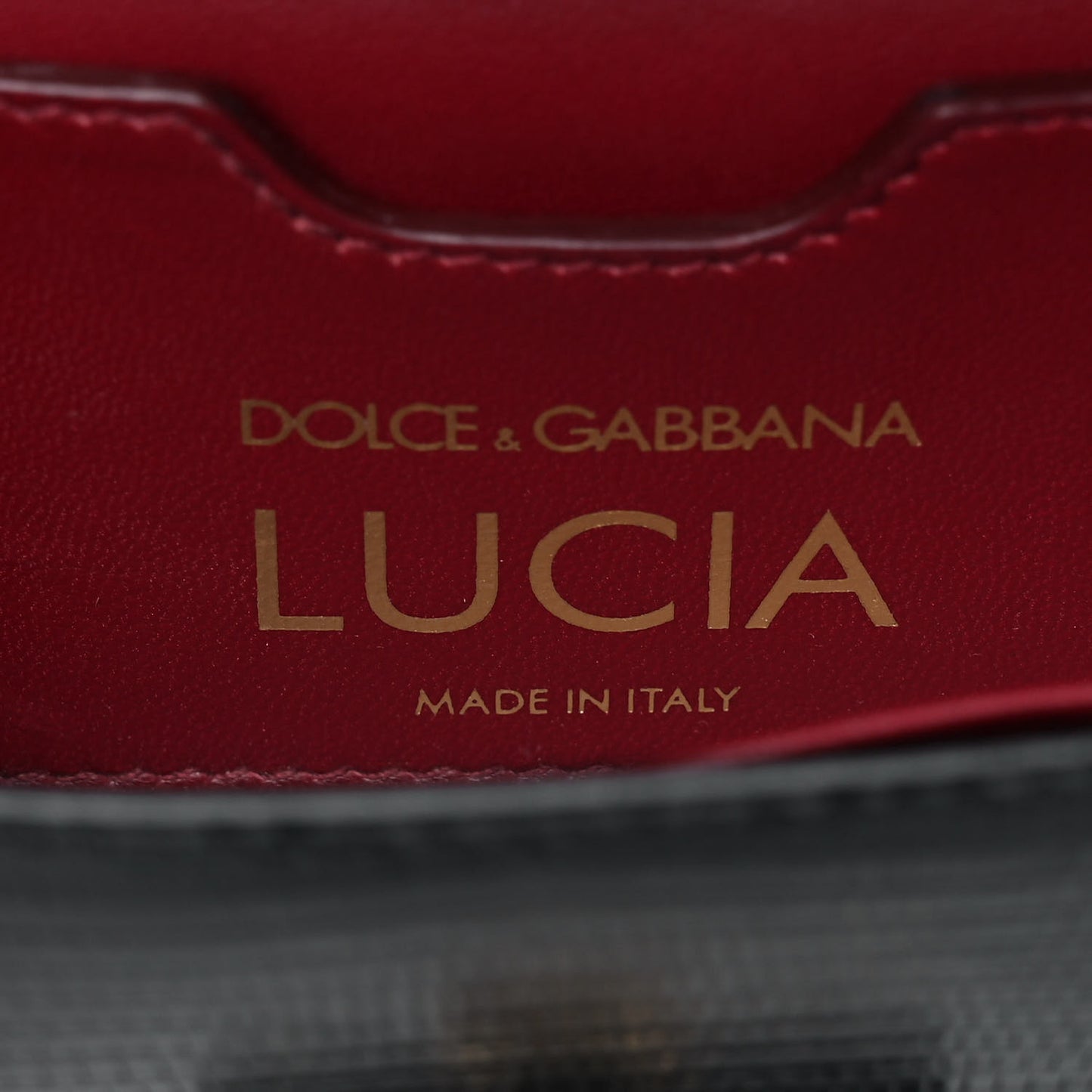 Calfskin Iguana Embossed Lucia Clutch Black