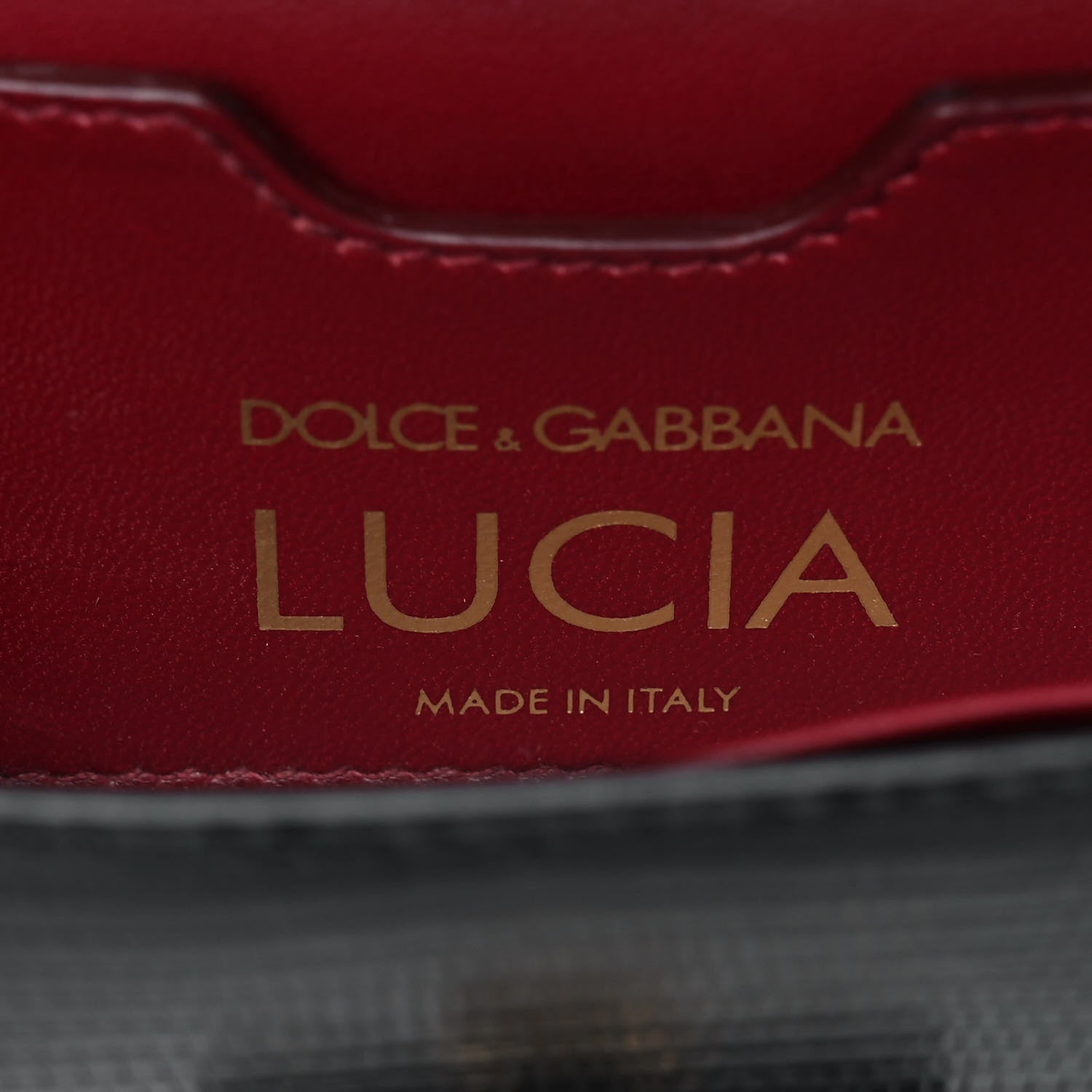 Dolce & Gabbana Calfskin Iguana Embossed Lucia Clutch Black 7 of 12