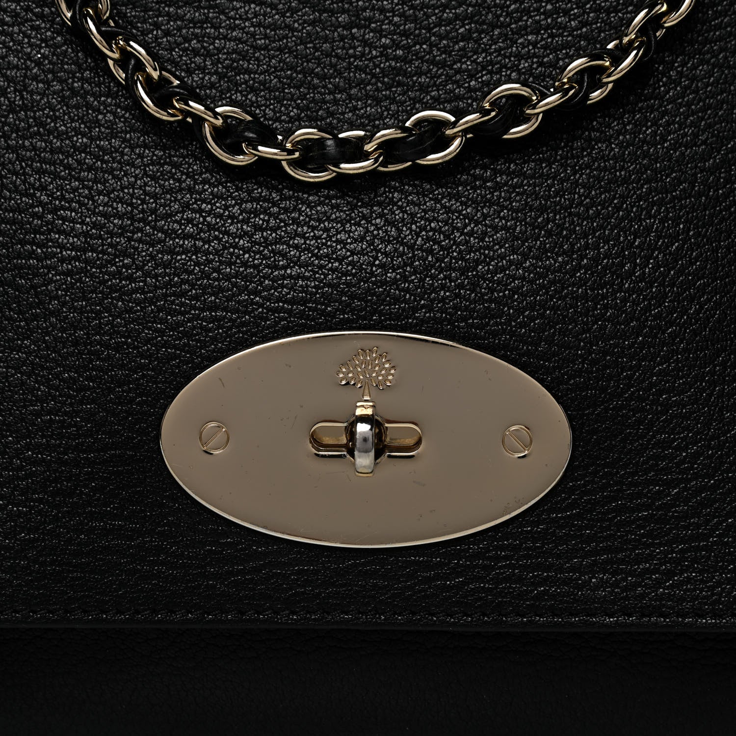 Mulberry Glossy Goatskin Medium Lily Black 9 of 11