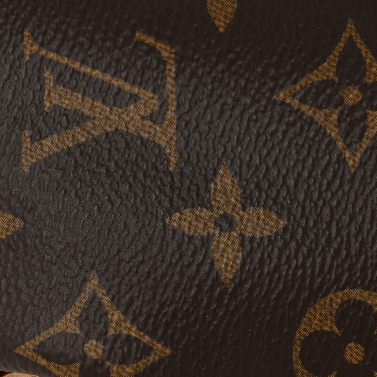 Monogram Dauphine Soft GM