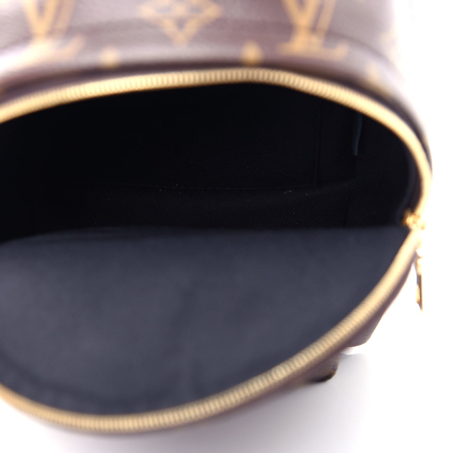 Monogram Palm Springs Backpack Mini