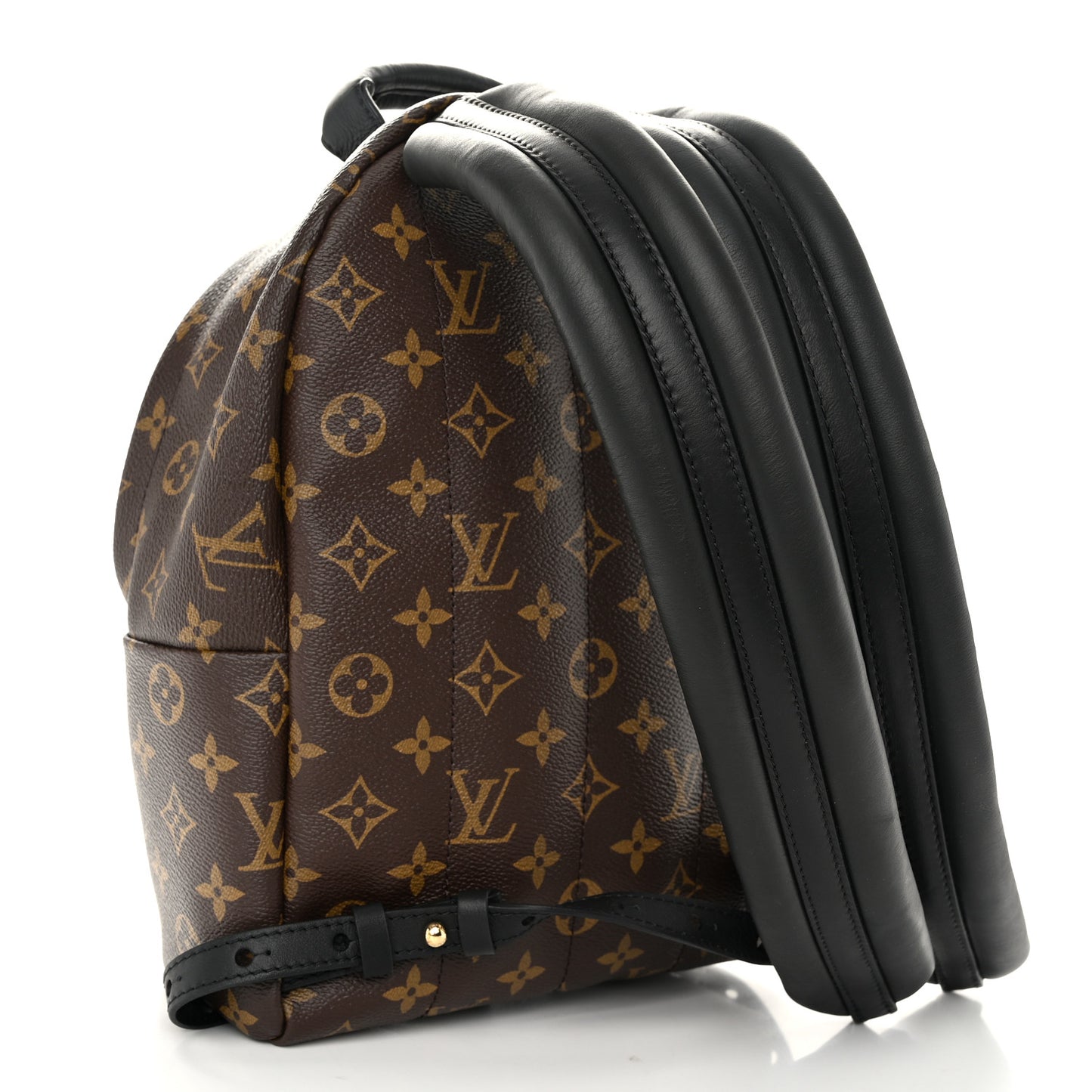 Monogram Palm Springs Backpack PM