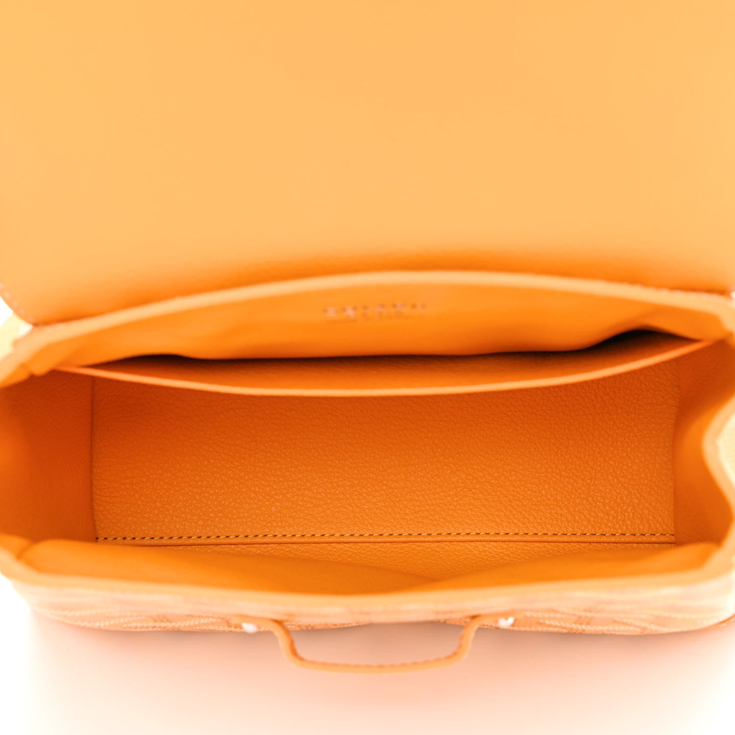 Goyard Goyardine Mini Saigon Yellow 5 of 11