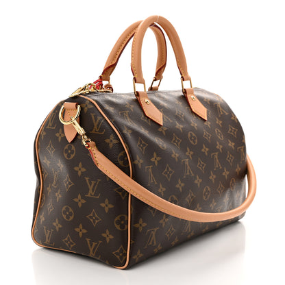 Louis Vuitton Monogram Speedy Soft Crafty 30 3 of 10