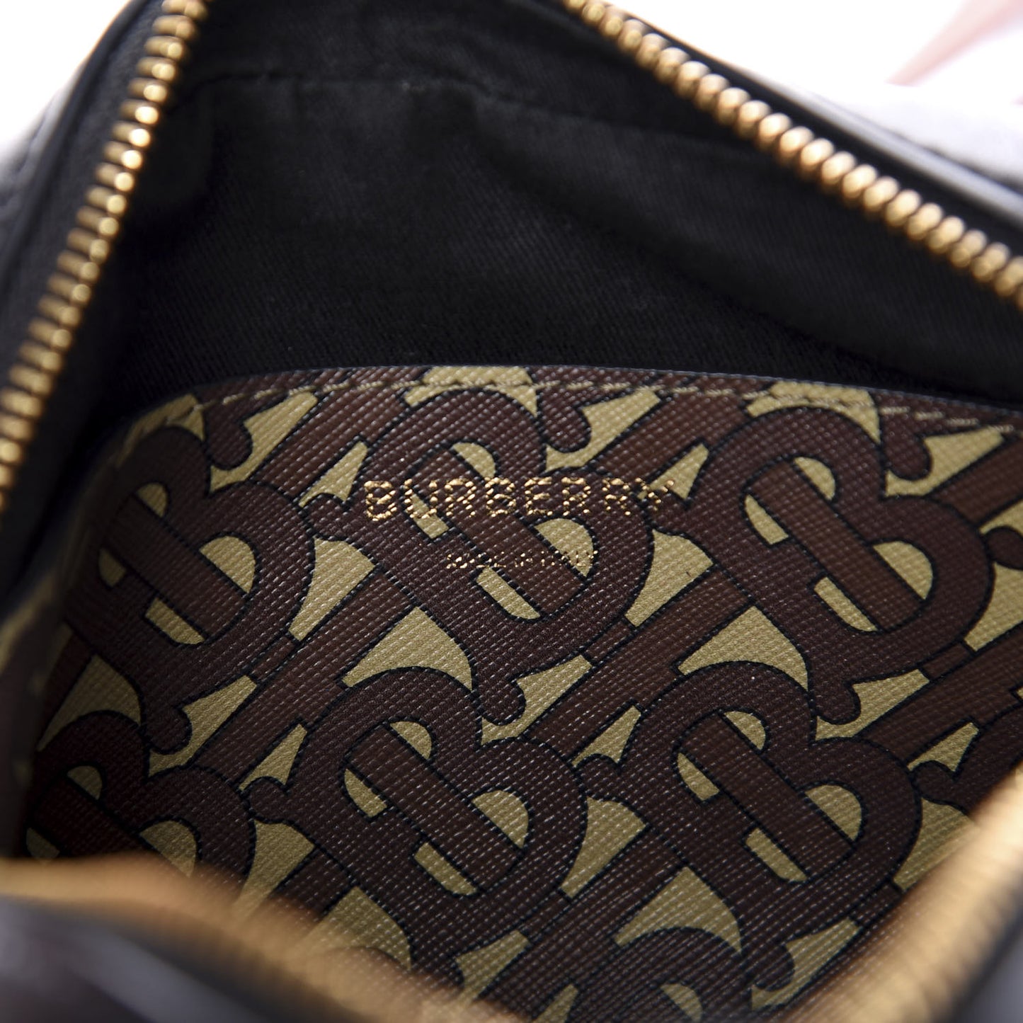 E-Canvas Monogram Stripe Camera Bag Bridle Brown