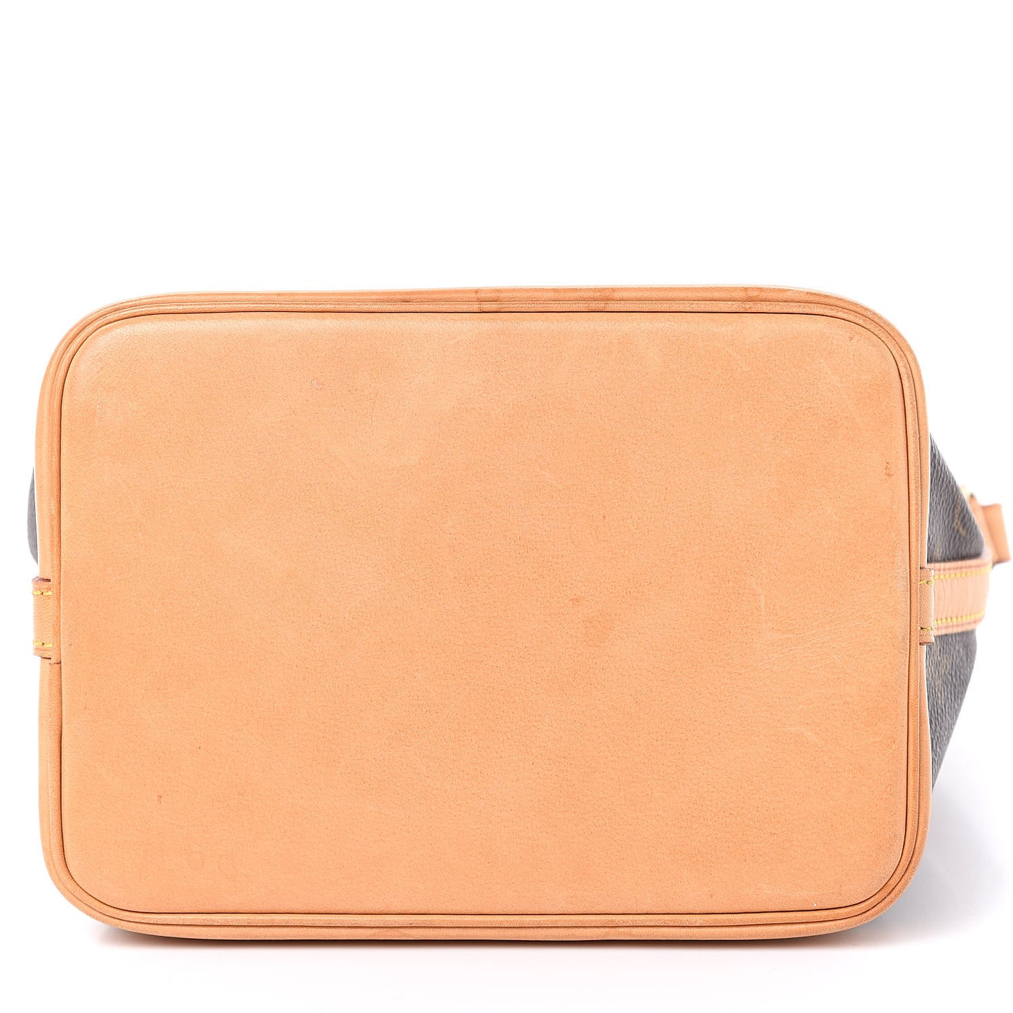 Monogram Mini Noe