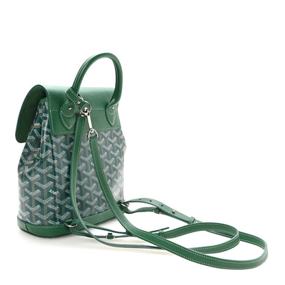 Goyard Goyardine Calfskin Mini Alpin Backpack Green 3 of 10