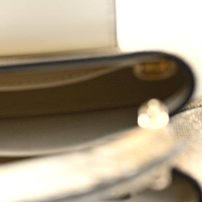Louis Vuitton Lizard Ombre Capucines Mini Natural 5 of 9