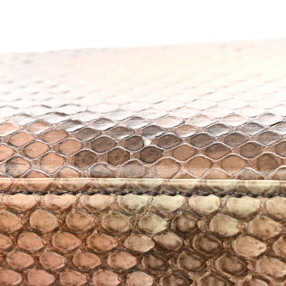 Christian Dior Snakeskin Mini Lady Dior Beige Multicolor 10 of 13