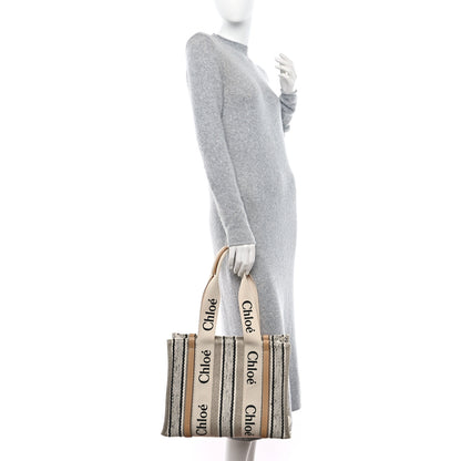 Chloe Knit Medium Woody Ribbon Tote Multicolor 2 of 8