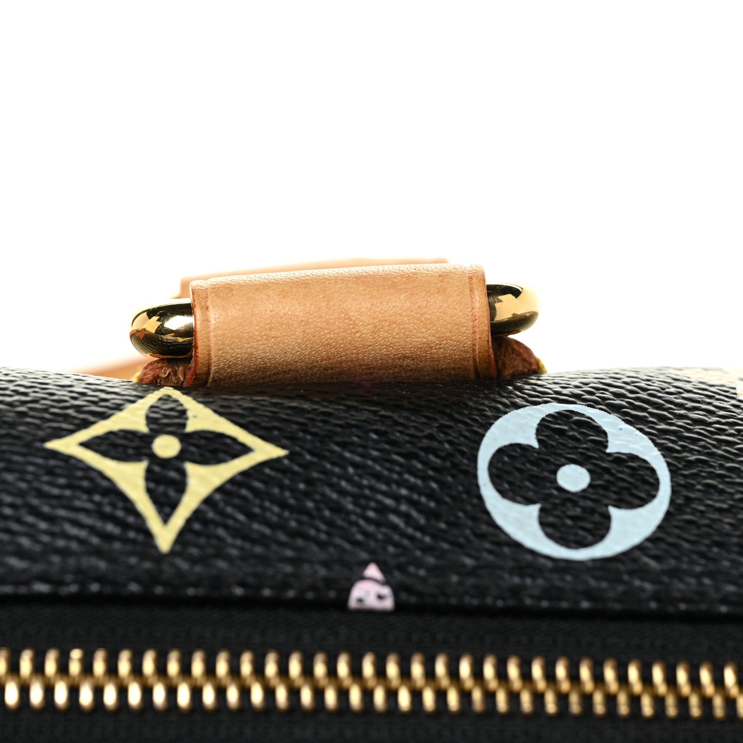 Monogram Multicolor Speedy 30 Black