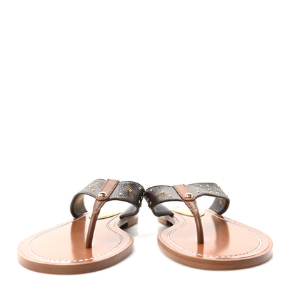 Louis Vuitton Monogram Sunny Flat Thong Sandals 37 Brown 3 of 9