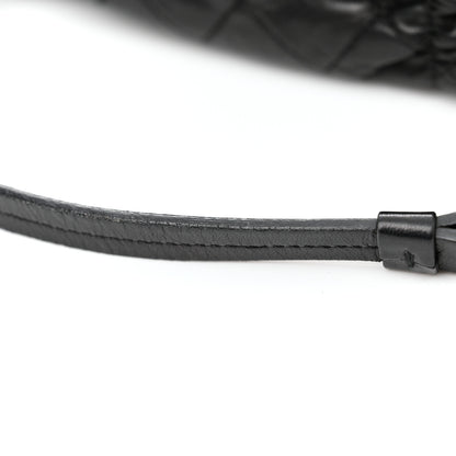 Chanel Lambskin Quilted Sharpei Flap Black 12 of 12